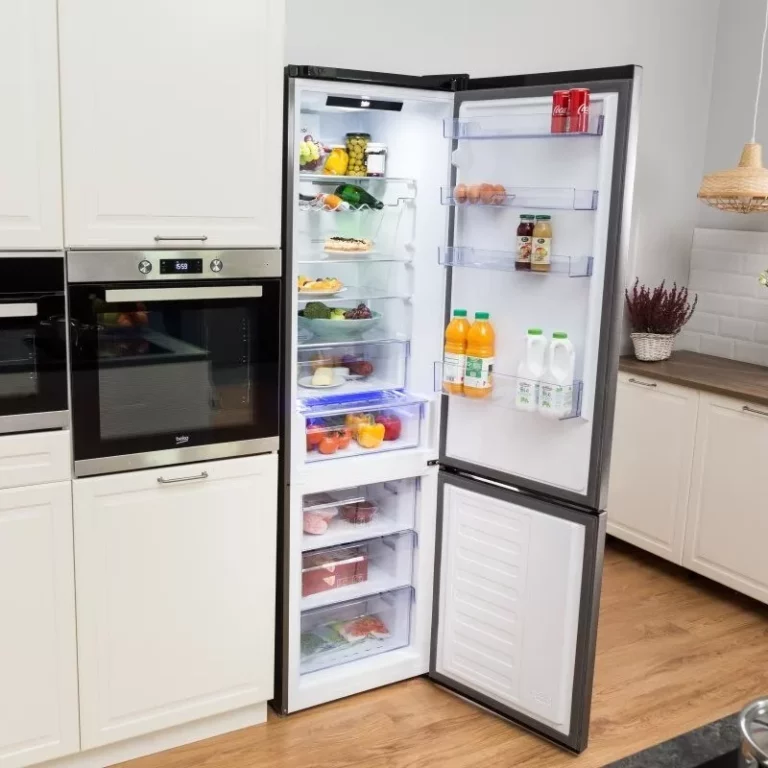 Лучшие холодильники Beko